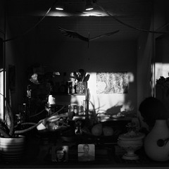 Elizabeth Vogler Live Impro