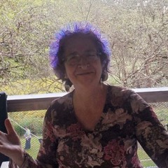 The Pusher Deb Cavanaugh And Dandelion Wine