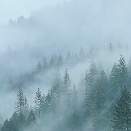 Yule: Long Rains