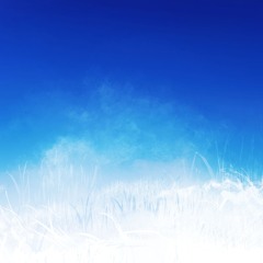 filteration of daylight @mel