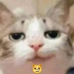 Champagne (Polyphia)