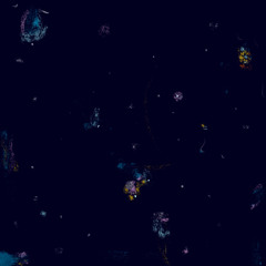 Ver las estrellas desde el sur ensayo 9