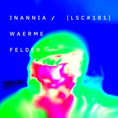 Wärmefelder / Heat Fields – 2024