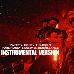 BEYONCÉ - SWEET ★ HONEY ★ BUCKIIN, PURE HONEY & SUMMER RENAISSANCE (COWBOY CARTER TOUR INSTRUMENTAL)