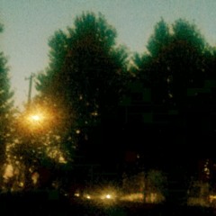 as they watched the fading light