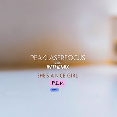InTheMix - She's a Nice Girl (P.L.F. Rmx)