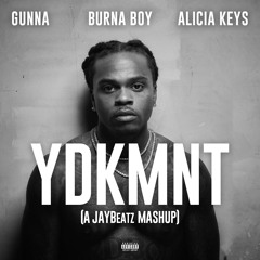 YDKMNT (A JAYBeatz Mashup)
