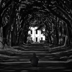 Stories You Write (prod. yxngfery)