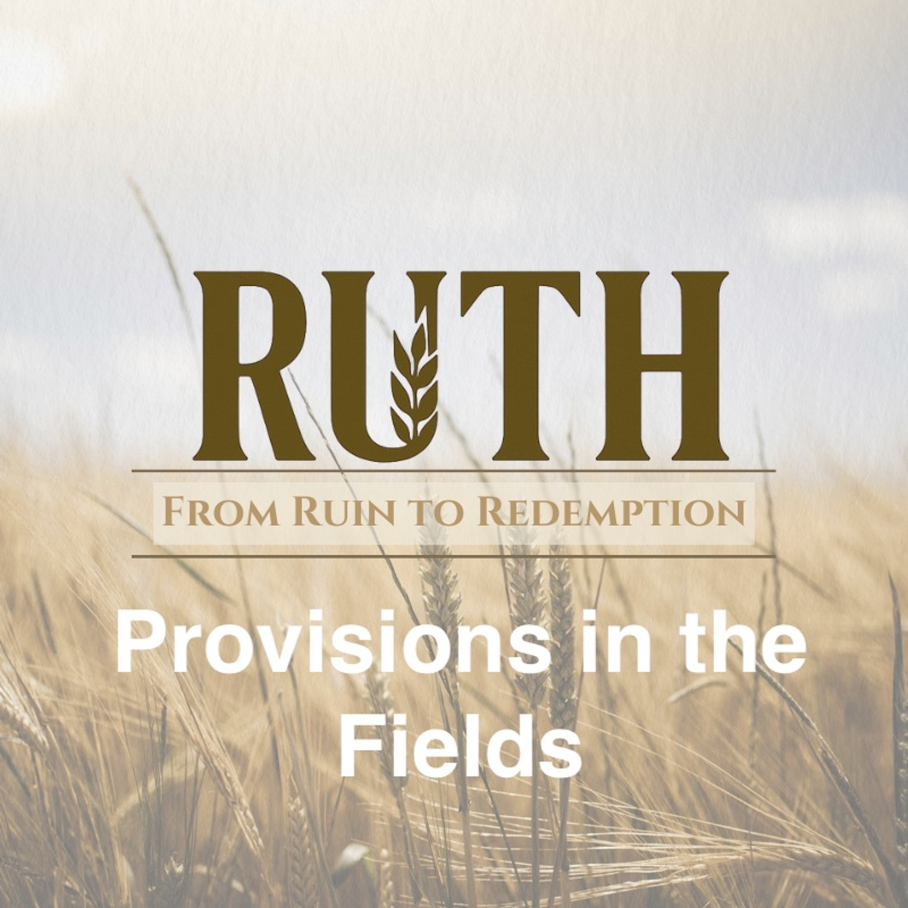 May 11/25 | Provision in the Fields | Ruth 2 | Meldon Lutzer episode artwork