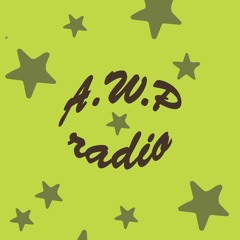 AWP RADIO PILOTE 1 - TOURING - 03/03/2024