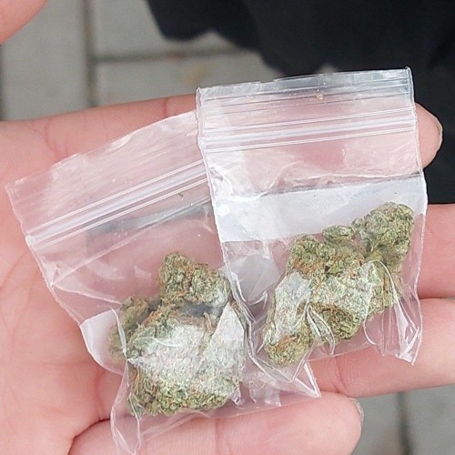 E9 ENZO - MAHALLE SAFARI (Snippet)