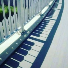 A Moment Of Reflection