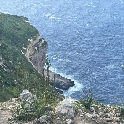 The Comfort of a Stranger's Heart