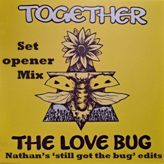 Together - The love bug (Nathan's still got the bug (set intro) mix)