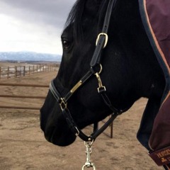 ياغايبه بالله مشتاق انا ردي.