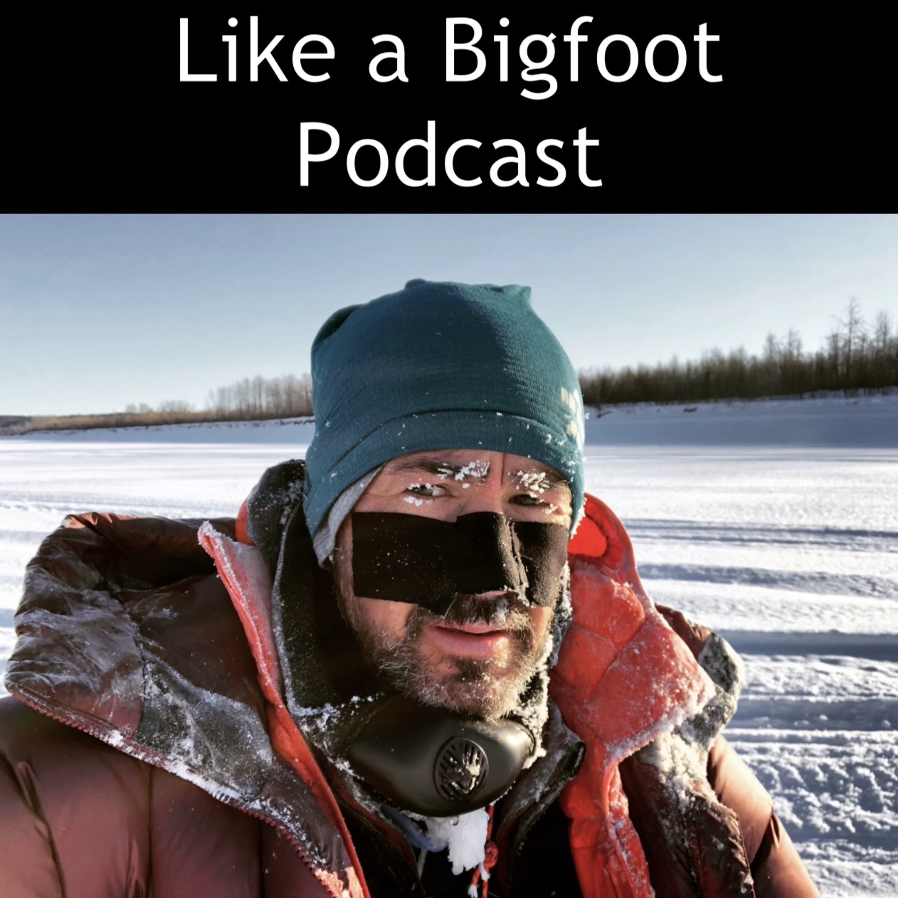#296: Ryan Wanless 3 -- The Iditarod, 1,000 miles from Anchorage to Nome on Foot episode artwork