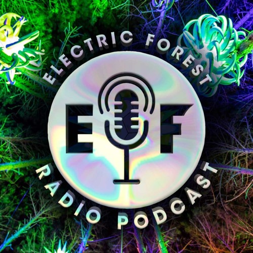 EF Radio Podcast - Forest Today: Bioluminescent Mushroom Art Installation Team