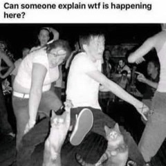 Loop Diggers Challenge 41 - T H E _ C A T _ W A L K