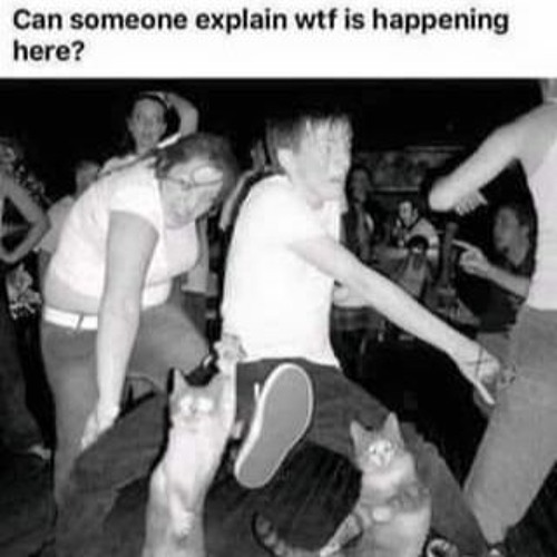 Loop Diggers Challenge 41 - T H E _ C A T _ W A L K