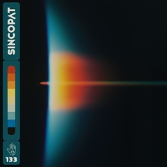 AFFKT - No Signal - Sincopat 133