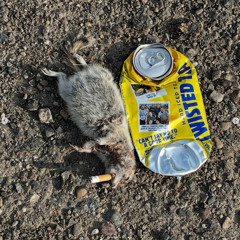 Untilbirth w Prod Emerald(Prod.Emerald)