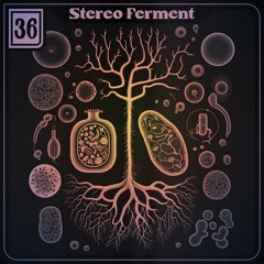 Oreku Presents - Stereo Ferment Episode 36