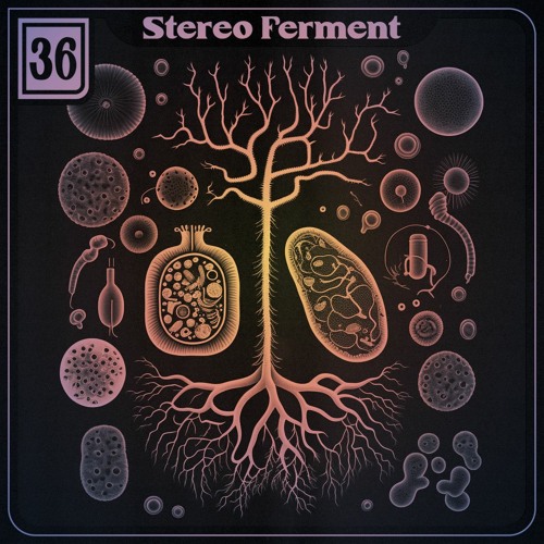 Oreku Presents - Stereo Ferment Episode 36