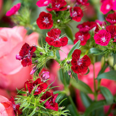 Komplette Entspannung