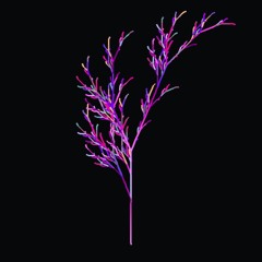 BLVC SVND - GO TO THE STO ( .Gav & Sapling Bootleg)