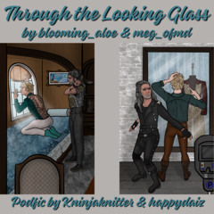 5 Through the Looking Glass