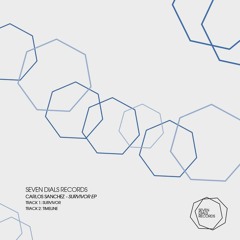 Carlos Sanchez - Survivor (Original Mix)