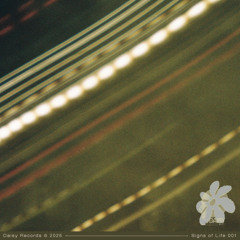 PREMIERE: Tywi - Hanging by a Thread