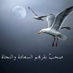 يا باحثًا عن خير صحب في الحياة "صُحبة الجنة "