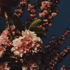 Solace (Demo)