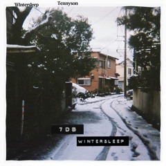 Tennyson - Wintersleep (7dB Remix)
