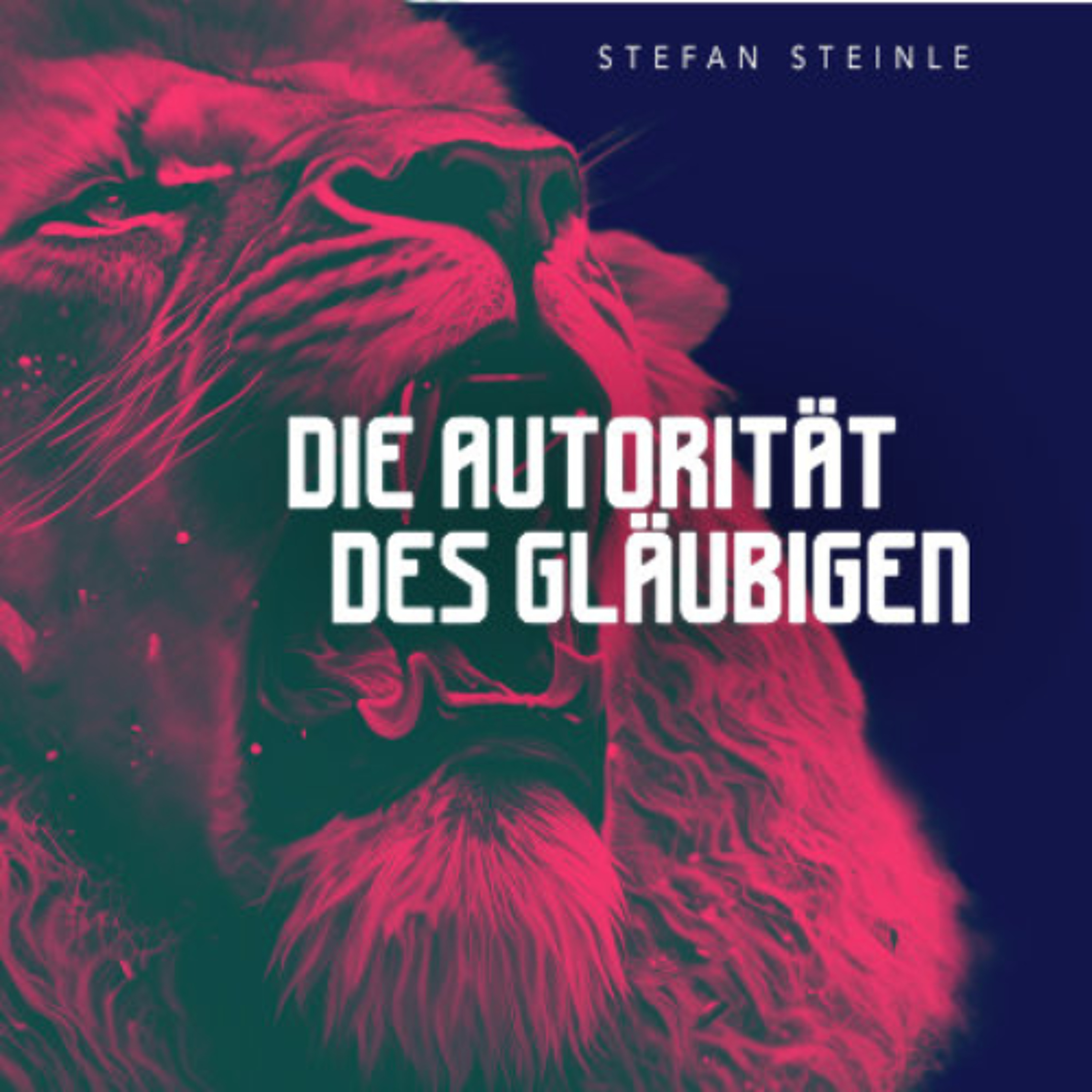 Die Autorität des Gläubigen - Stephan Steinle