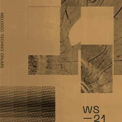 WS21 - Melodic Techno Drums