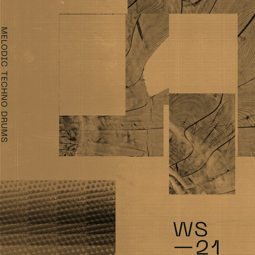 WS21 - Melodic Techno Drums