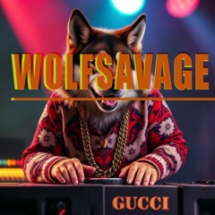 RANDOM FRIEND - (WOLFSAVAGE) wild jacking house live mix