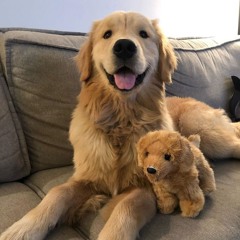 в моей голове w/ хизаво (jasey, injurie)