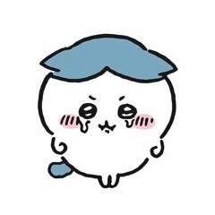 하치와레 girl (cover)