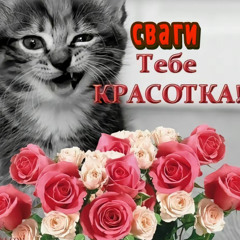 вк сниппет.mp3