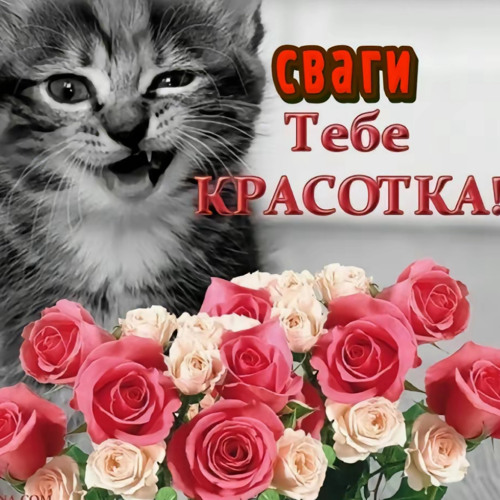 вк сниппет.mp3