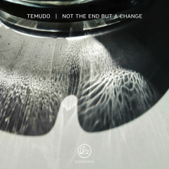 Lost In Ether | P R E M I E R E | Temudo - Not The End But A Change [SOMA]