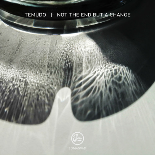 Lost In Ether | P R E M I E R E | Temudo - Not The End But A Change [SOMA]