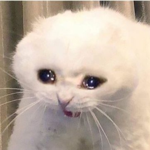 Starting To Feel Something