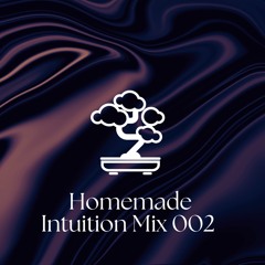 Homemade Intuition Mix 002 (Deep House - Minimal)