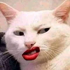 Happy Haunted Sunshine House