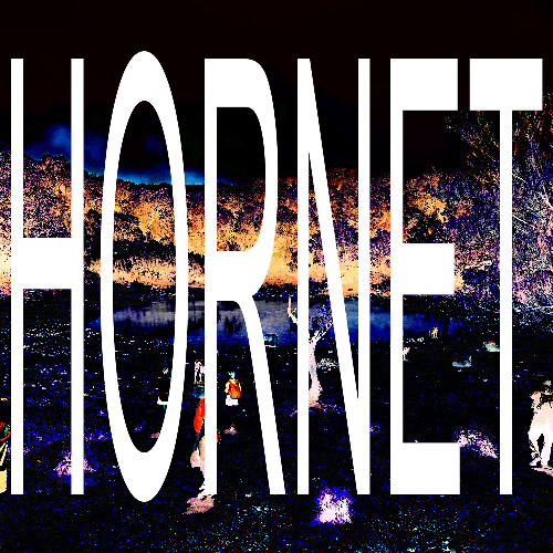 Hornet