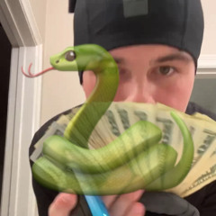 Snakes (@1twovrt)